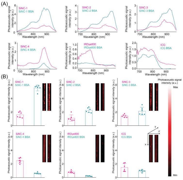 https://cdn.ncbi.nlm.nih.gov/pmc/blobs/6a3d/9916426/8a78dee05439/ijms-24-02241-g004.jpg