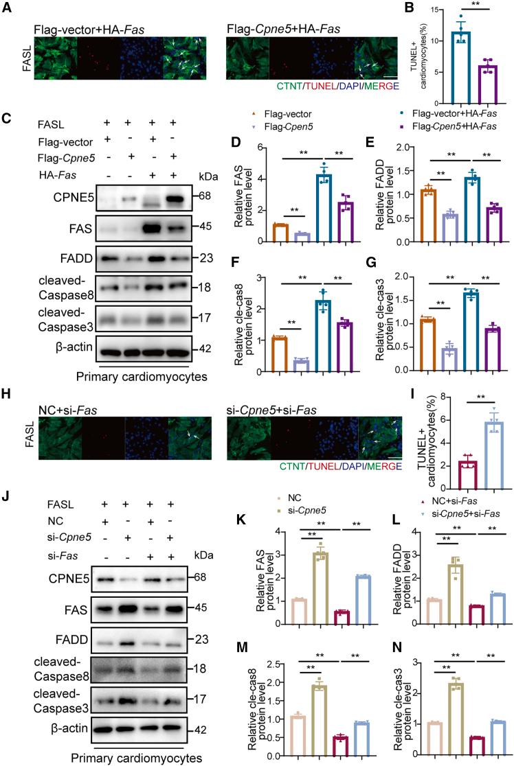 https://cdn.ncbi.nlm.nih.gov/pmc/blobs/6a3e/12398889/1283629c2754/gr8.jpg