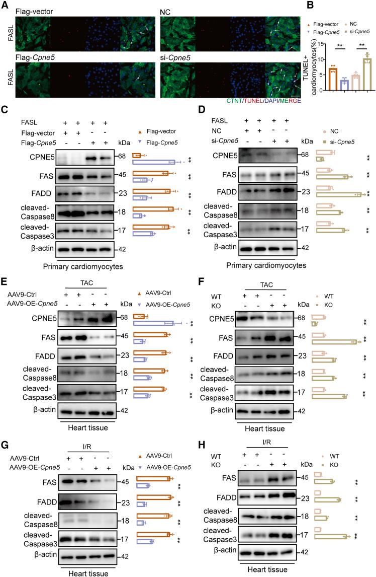 https://cdn.ncbi.nlm.nih.gov/pmc/blobs/6a3e/12398889/32f518606856/gr6.jpg
