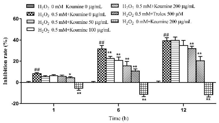 https://cdn.ncbi.nlm.nih.gov/pmc/blobs/6a3f/6386868/ceb642479211/ijms-20-00754-g003.jpg