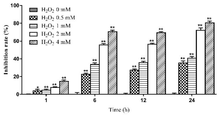 https://cdn.ncbi.nlm.nih.gov/pmc/blobs/6a3f/6386868/f939f977b4ea/ijms-20-00754-g001.jpg