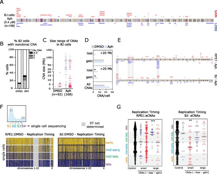 https://cdn.ncbi.nlm.nih.gov/pmc/blobs/6a3f/9583511/0eff8f0e5065/13059_2022_2781_Fig3_HTML.jpg
