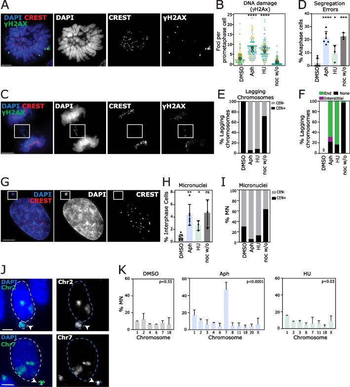 https://cdn.ncbi.nlm.nih.gov/pmc/blobs/6a3f/9583511/4f6732bc26f1/13059_2022_2781_Fig1_HTML.jpg