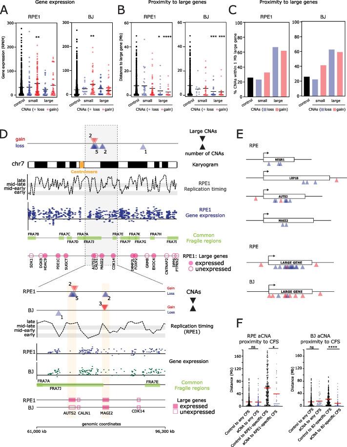 https://cdn.ncbi.nlm.nih.gov/pmc/blobs/6a3f/9583511/5e30d420c948/13059_2022_2781_Fig4_HTML.jpg
