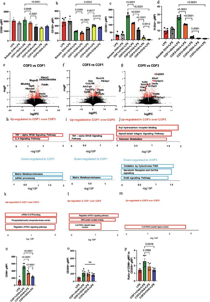 https://cdn.ncbi.nlm.nih.gov/pmc/blobs/6a41/11555212/0f76af936bcd/41467_2024_54227_Fig2_HTML.jpg