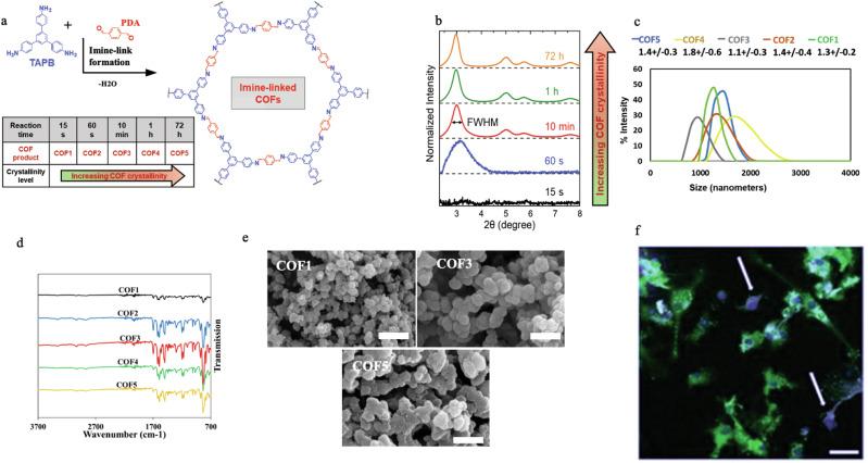 https://cdn.ncbi.nlm.nih.gov/pmc/blobs/6a41/11555212/21ff4cf6c509/41467_2024_54227_Fig1_HTML.jpg