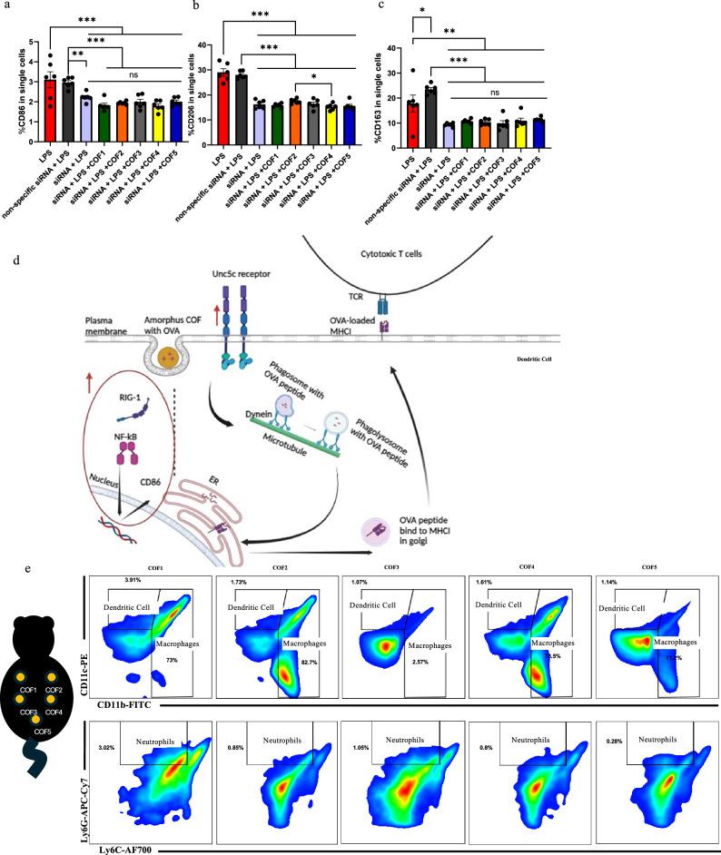 https://cdn.ncbi.nlm.nih.gov/pmc/blobs/6a41/11555212/3c6a57a590e1/41467_2024_54227_Fig3_HTML.jpg