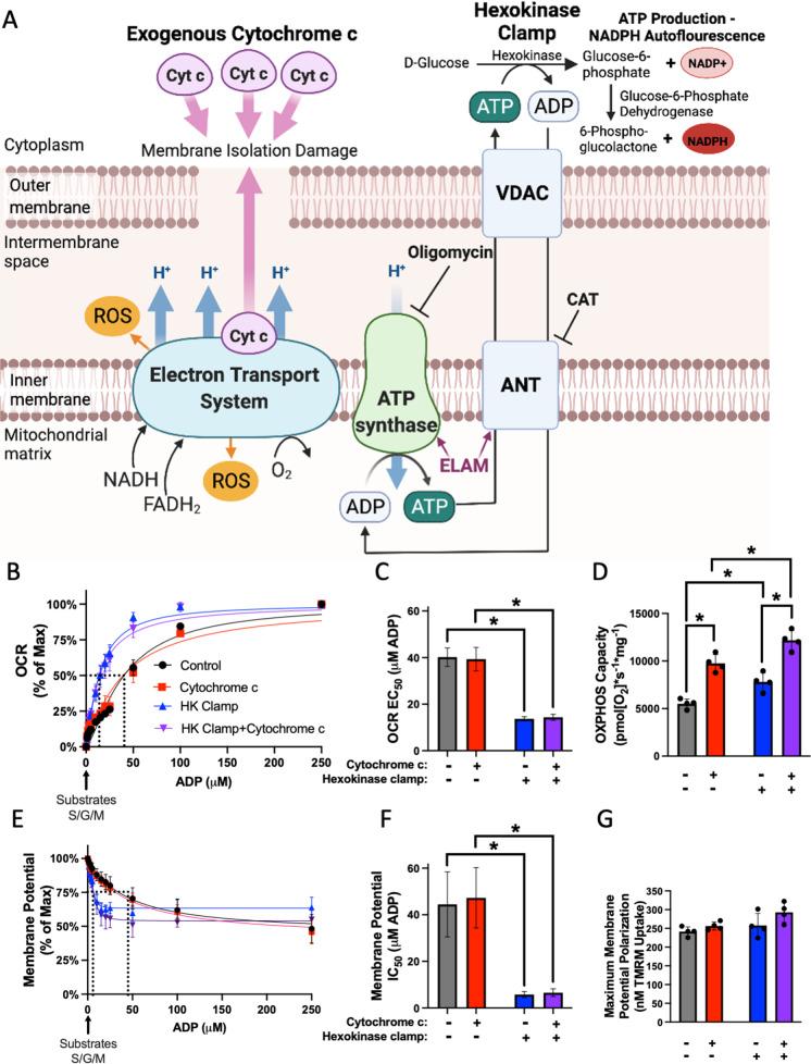 https://cdn.ncbi.nlm.nih.gov/pmc/blobs/6a42/10643647/c142a477cdf8/11357_2023_861_Fig1_HTML.jpg