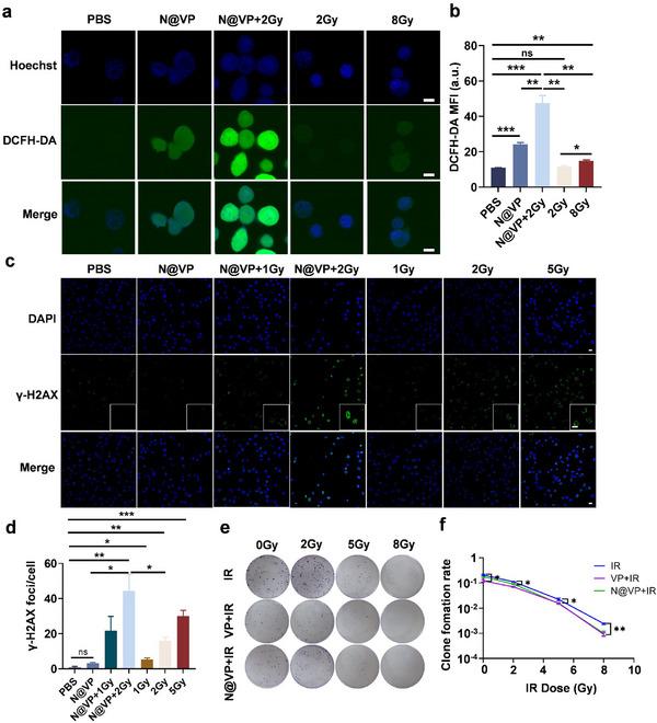 https://cdn.ncbi.nlm.nih.gov/pmc/blobs/6a44/12120762/503d3e3a9b4b/ADVS-12-2413387-g005.jpg