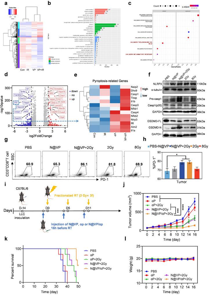 https://cdn.ncbi.nlm.nih.gov/pmc/blobs/6a44/12120762/c18b6cc784d6/ADVS-12-2413387-g002.jpg