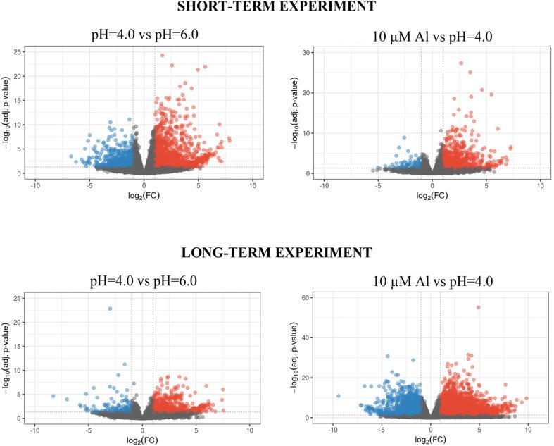 https://cdn.ncbi.nlm.nih.gov/pmc/blobs/6a46/8244595/8d81cb5184c1/fgene-12-675260-g004.jpg