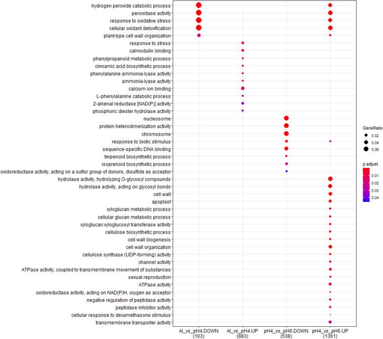 https://cdn.ncbi.nlm.nih.gov/pmc/blobs/6a46/8244595/c07850d43a2d/fgene-12-675260-g012.jpg