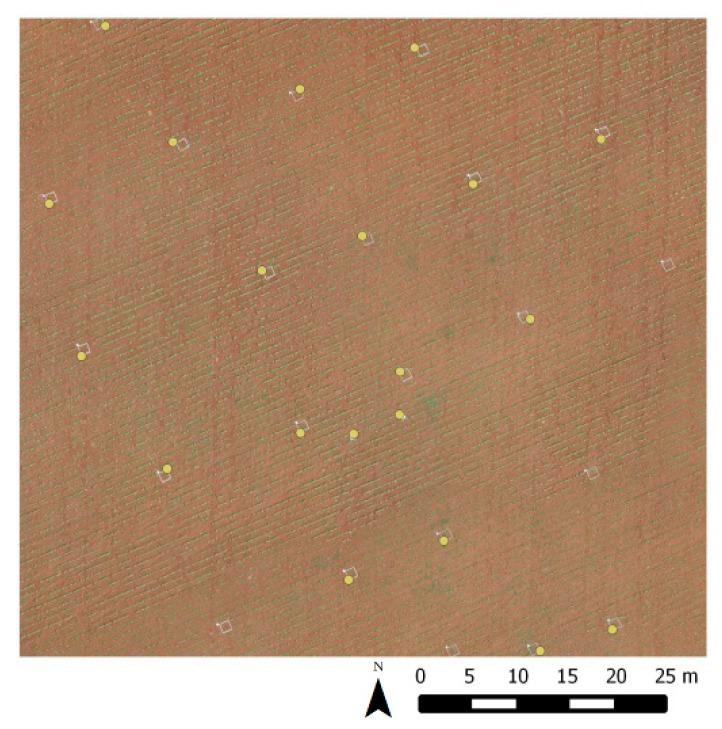https://cdn.ncbi.nlm.nih.gov/pmc/blobs/6a47/4570392/8978ab2a322f/sensors-15-19688-g001.jpg