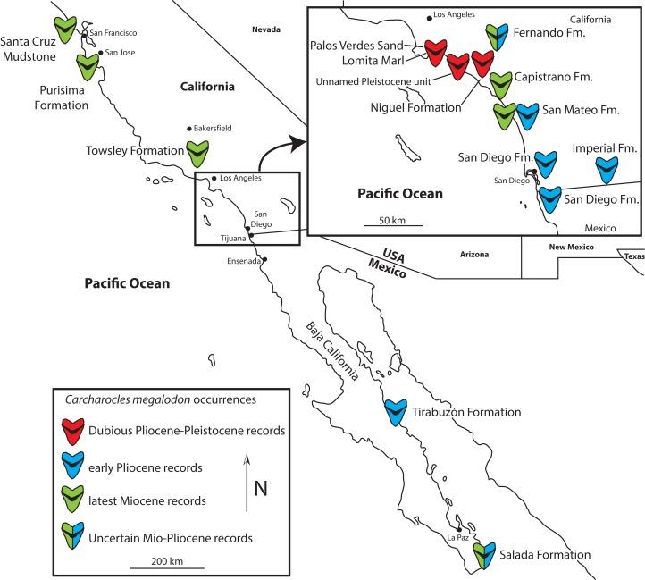 https://cdn.ncbi.nlm.nih.gov/pmc/blobs/6a48/6377595/3ba60660a2dc/peerj-07-6088-g001.jpg