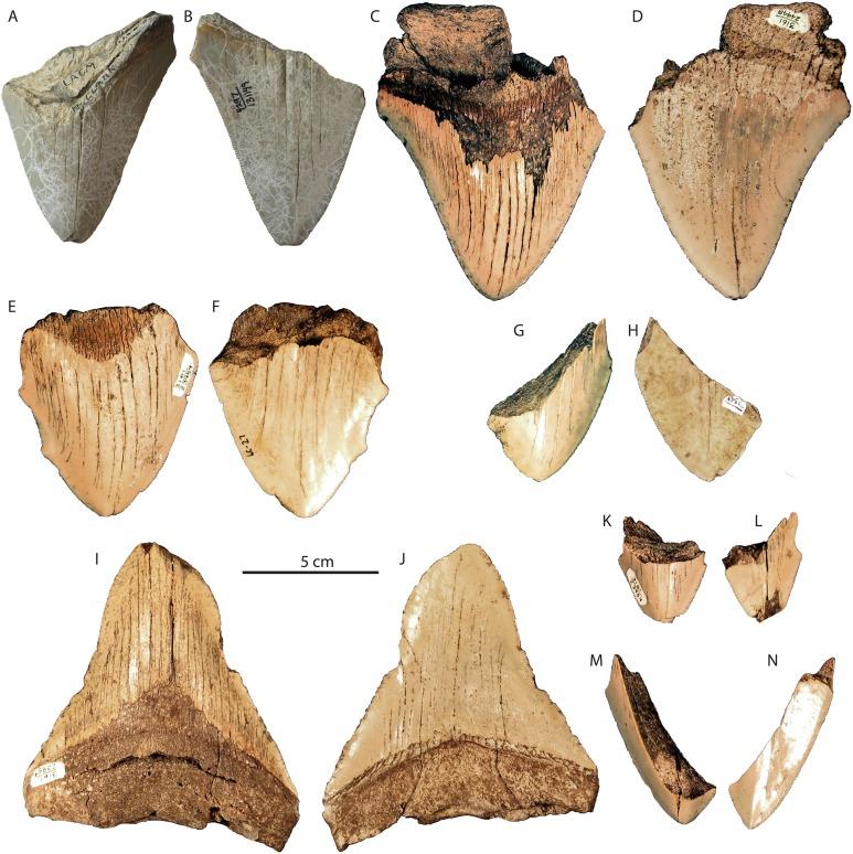 https://cdn.ncbi.nlm.nih.gov/pmc/blobs/6a48/6377595/439d608bffa1/peerj-07-6088-g007.jpg