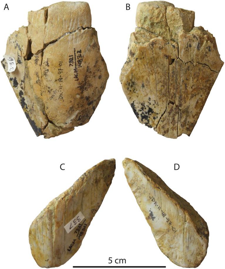https://cdn.ncbi.nlm.nih.gov/pmc/blobs/6a48/6377595/de1730e090a5/peerj-07-6088-g003.jpg