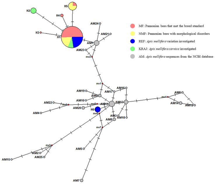 https://cdn.ncbi.nlm.nih.gov/pmc/blobs/6a4c/12108602/f06b391c8949/biology-14-00475-g001.jpg