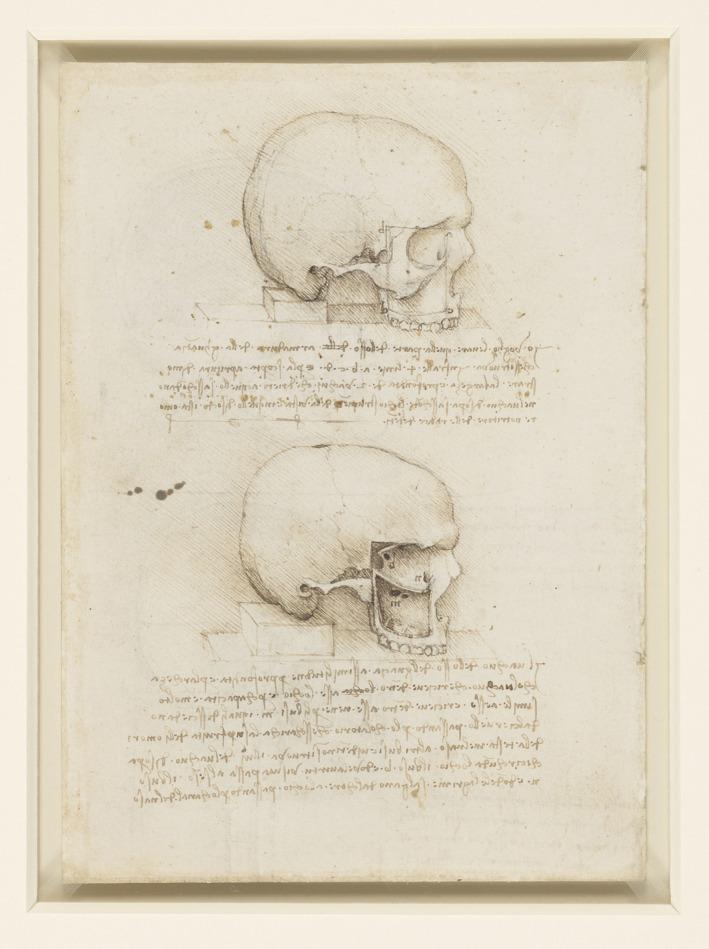 https://cdn.ncbi.nlm.nih.gov/pmc/blobs/6a4d/8742964/19d2debf9bb2/JOA-240-183-g002.jpg