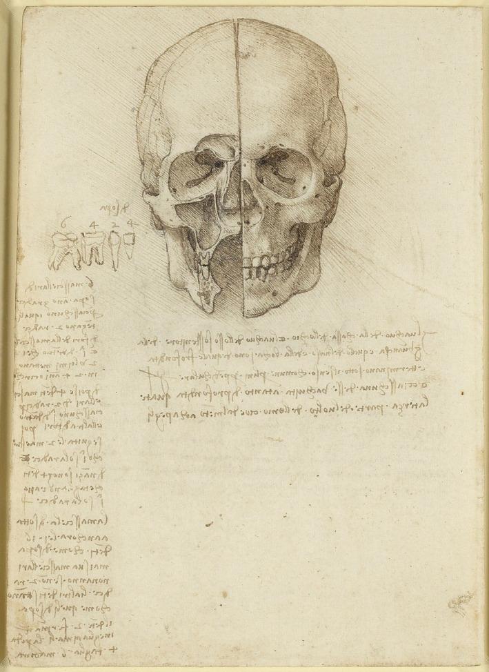 https://cdn.ncbi.nlm.nih.gov/pmc/blobs/6a4d/8742964/a26e2c0034bf/JOA-240-183-g001.jpg