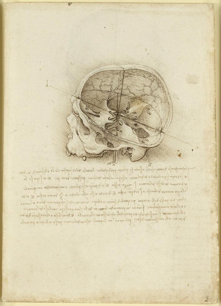 https://cdn.ncbi.nlm.nih.gov/pmc/blobs/6a4d/8742964/e8f2920e95c1/JOA-240-183-g006.jpg