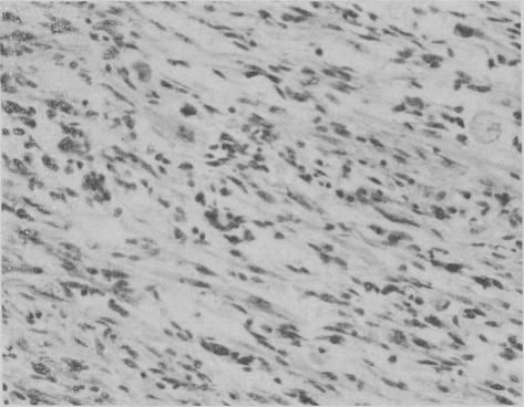 https://cdn.ncbi.nlm.nih.gov/pmc/blobs/6a52/1939000/3f18cb083878/canmedaj00869-0034-a.jpg