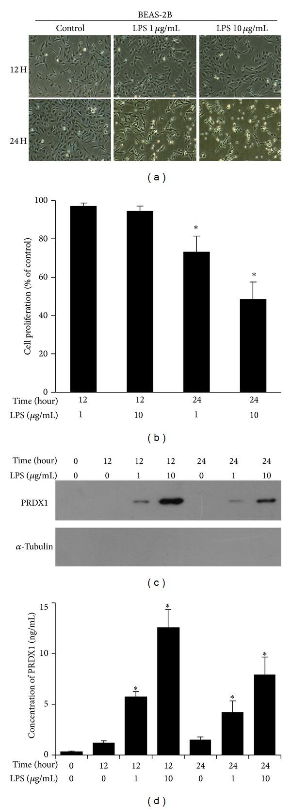 https://cdn.ncbi.nlm.nih.gov/pmc/blobs/6a53/4082880/0c9156258225/MI2014-469358.004.jpg