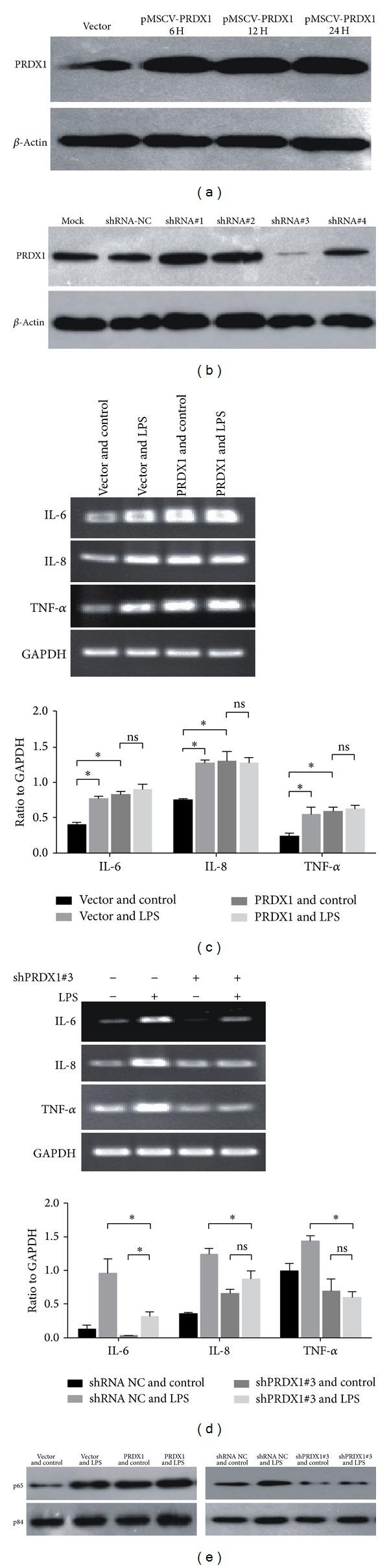 https://cdn.ncbi.nlm.nih.gov/pmc/blobs/6a53/4082880/7ba280cf535e/MI2014-469358.005.jpg