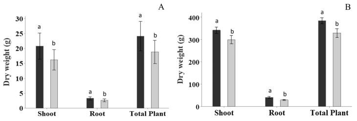 https://cdn.ncbi.nlm.nih.gov/pmc/blobs/6a54/10780822/068141e108bc/plants-13-00004-g003.jpg