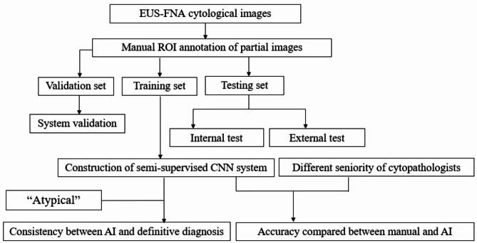 https://cdn.ncbi.nlm.nih.gov/pmc/blobs/6a55/11917044/9a3a1435a58c/12885_2025_13910_Fig2_HTML.jpg