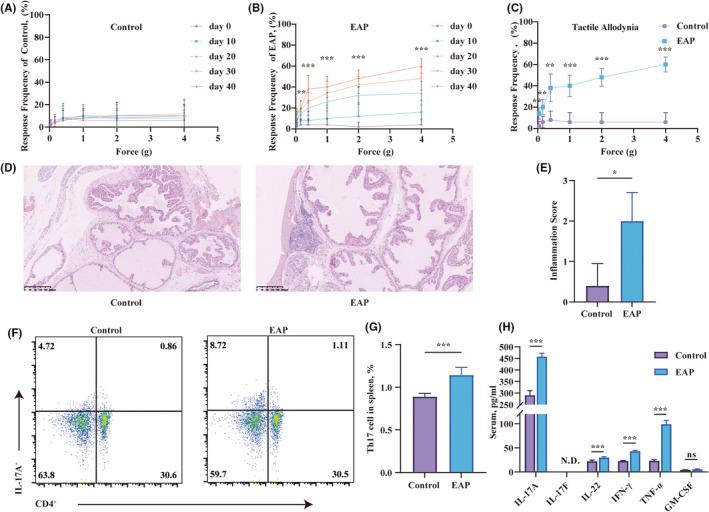 https://cdn.ncbi.nlm.nih.gov/pmc/blobs/6a57/11129727/5e5c454d6836/JCMM-28-e18445-g003.jpg