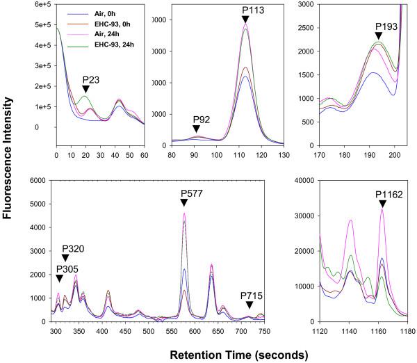 https://cdn.ncbi.nlm.nih.gov/pmc/blobs/6a58/2270821/0f345292a5d9/1477-5956-6-6-4.jpg