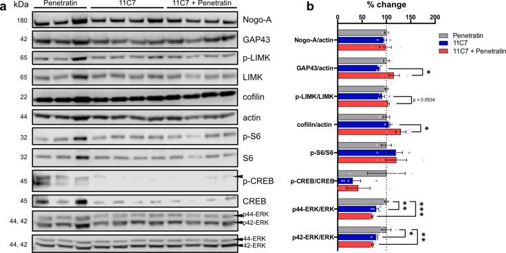 https://cdn.ncbi.nlm.nih.gov/pmc/blobs/6a5a/12418472/09fc09d1b174/figs3.jpg