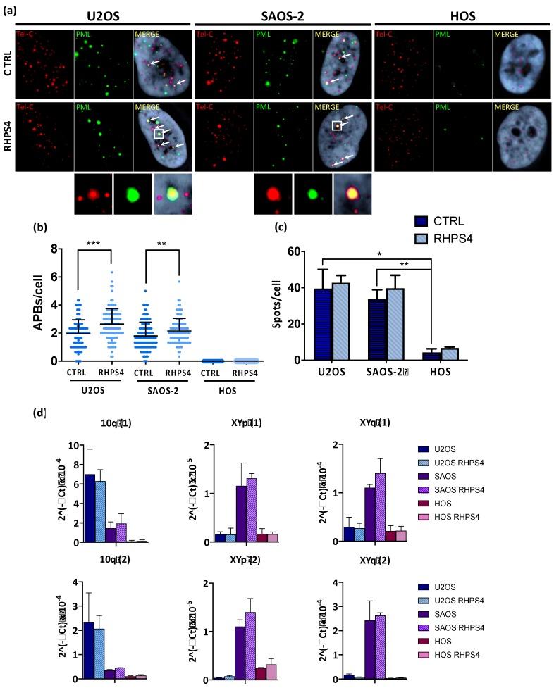 https://cdn.ncbi.nlm.nih.gov/pmc/blobs/6a5a/7140816/0e53d7524cdb/genes-11-00304-g004.jpg