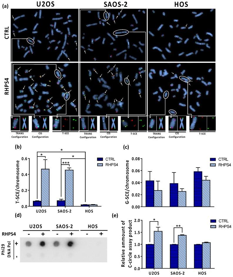 https://cdn.ncbi.nlm.nih.gov/pmc/blobs/6a5a/7140816/88f903766d32/genes-11-00304-g005.jpg