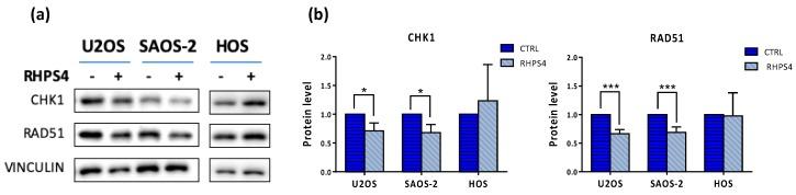https://cdn.ncbi.nlm.nih.gov/pmc/blobs/6a5a/7140816/8e24d44de251/genes-11-00304-g006.jpg