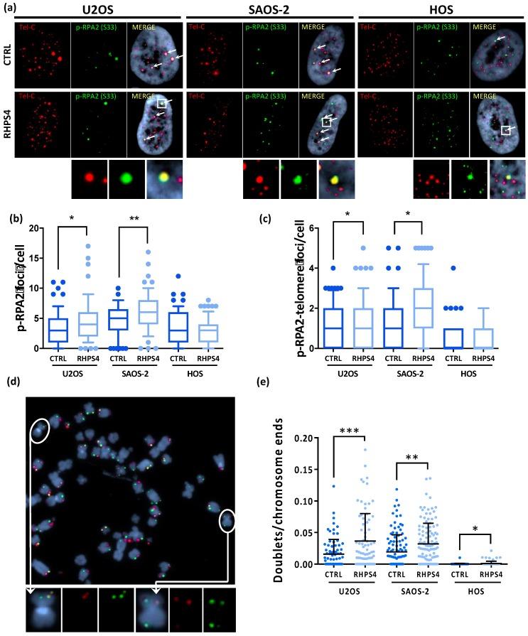 https://cdn.ncbi.nlm.nih.gov/pmc/blobs/6a5a/7140816/989b28365a52/genes-11-00304-g002.jpg