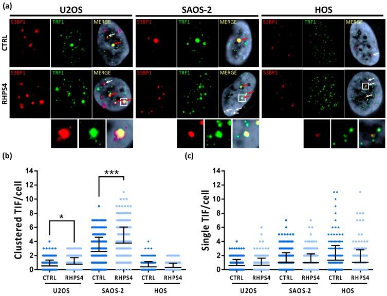 https://cdn.ncbi.nlm.nih.gov/pmc/blobs/6a5a/7140816/f77b6aeb04e5/genes-11-00304-g003.jpg