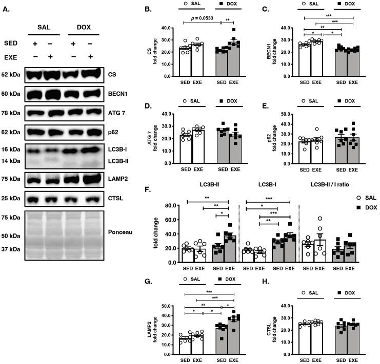 https://cdn.ncbi.nlm.nih.gov/pmc/blobs/6a5b/10164510/ccf055d8a93e/pan-2023-0010f2.jpg