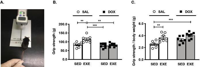 https://cdn.ncbi.nlm.nih.gov/pmc/blobs/6a5b/10164510/e8651db52700/pan-2023-0010f1.jpg