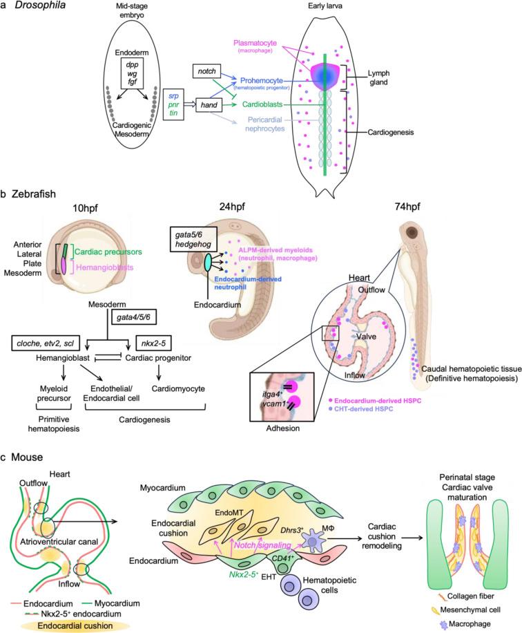 https://cdn.ncbi.nlm.nih.gov/pmc/blobs/6a5b/12014711/4a789da5aab5/11886_2025_2236_Fig1_HTML.jpg