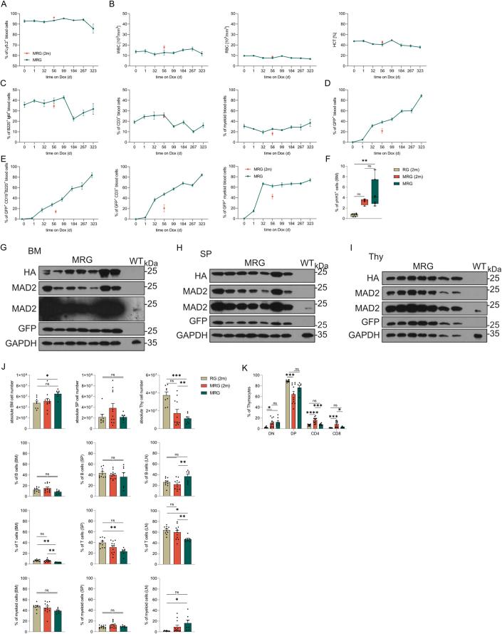 https://cdn.ncbi.nlm.nih.gov/pmc/blobs/6a5e/11169569/0cecc216841e/44319_2024_160_Fig9_ESM.jpg