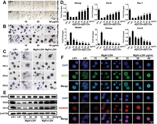https://cdn.ncbi.nlm.nih.gov/pmc/blobs/6a5e/8097378/acf17c1ed361/ADVS-8-2003535-g004.jpg