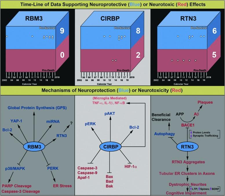 https://cdn.ncbi.nlm.nih.gov/pmc/blobs/6a5f/6434603/88cd9cd3a470/fig-5.jpg