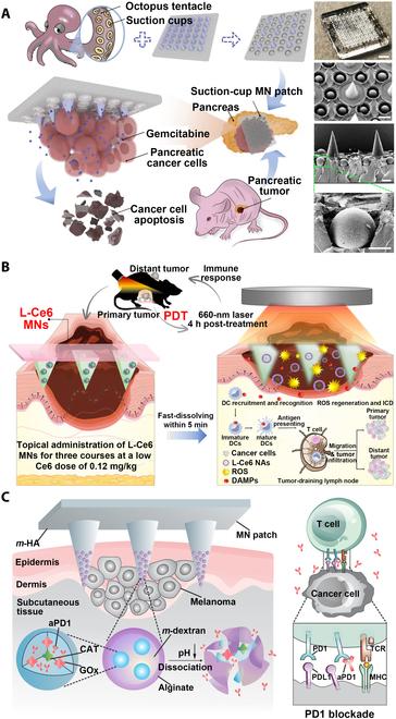 https://cdn.ncbi.nlm.nih.gov/pmc/blobs/6a61/10202386/973dc2acf521/research.0128.fig.008.jpg