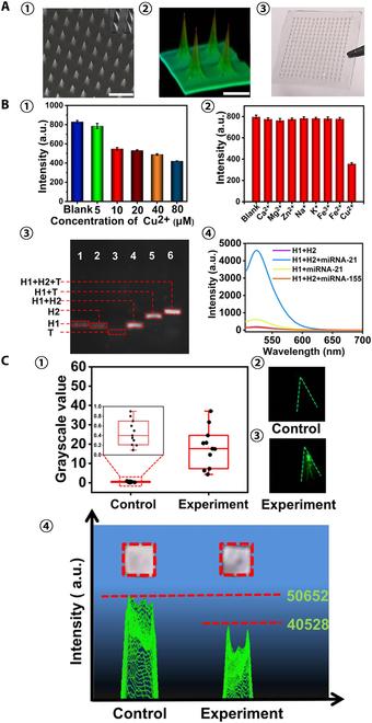 https://cdn.ncbi.nlm.nih.gov/pmc/blobs/6a61/10202386/b3aa5adfa52a/research.0128.fig.014.jpg