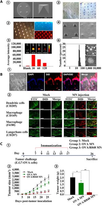 https://cdn.ncbi.nlm.nih.gov/pmc/blobs/6a61/10202386/bae7451b268e/research.0128.fig.016.jpg