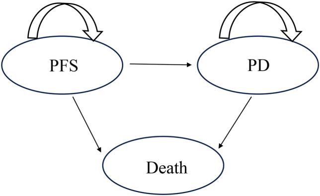 https://cdn.ncbi.nlm.nih.gov/pmc/blobs/6a61/11682971/b1f3917ed9da/fonc-14-1477722-g001.jpg