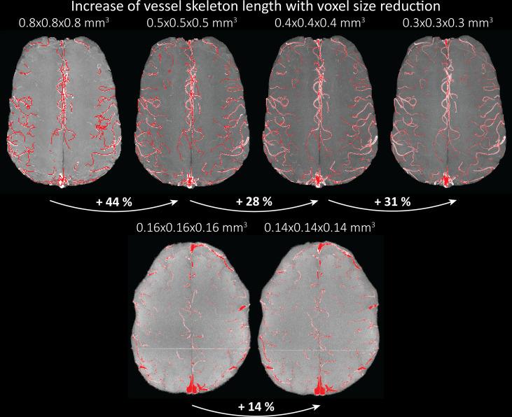 https://cdn.ncbi.nlm.nih.gov/pmc/blobs/6a61/9150892/3c0e14be55f2/elife-71186-fig5-figsupp1.jpg