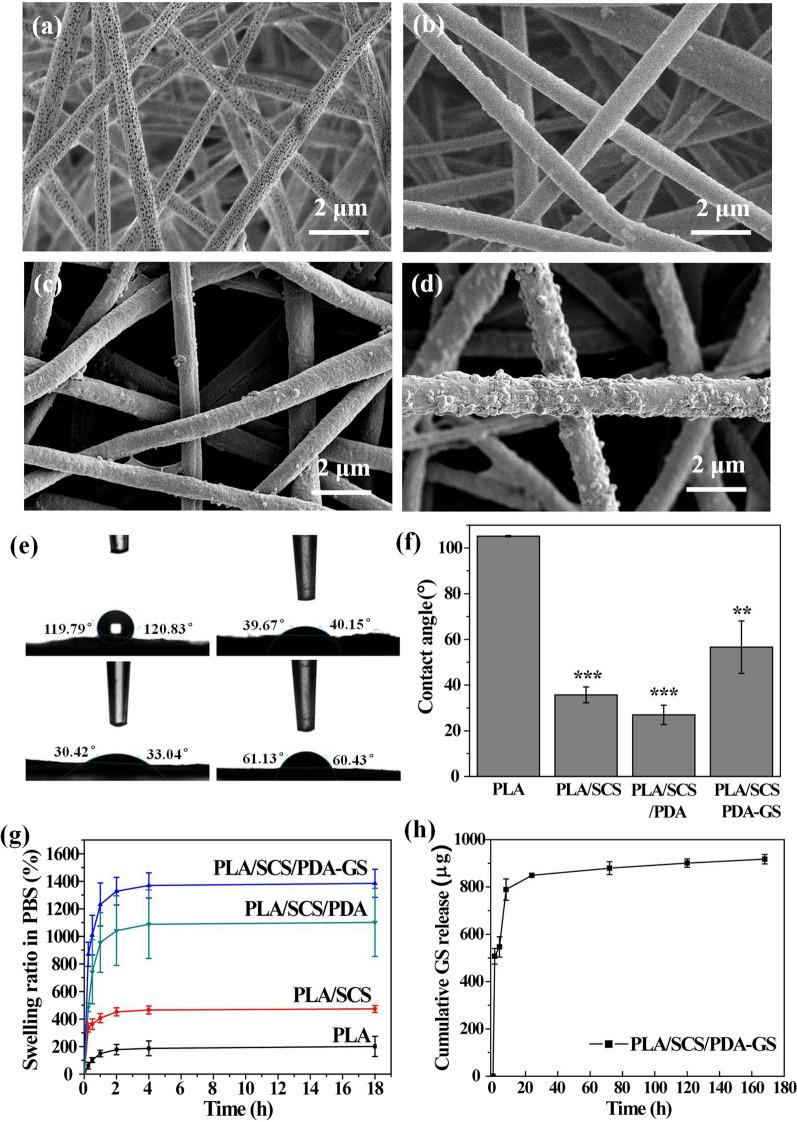 https://cdn.ncbi.nlm.nih.gov/pmc/blobs/6a63/10041712/a499ee563aa7/12951_2023_1847_Fig4_HTML.jpg