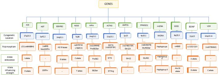 https://cdn.ncbi.nlm.nih.gov/pmc/blobs/6a66/12240954/a0edb9f03cea/fphys-16-1568334-g001.jpg
